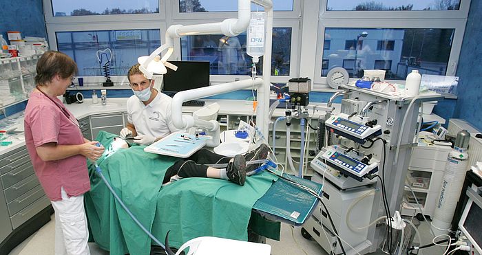 Milan Michalides operiert einen Patienten unter Vollnarkose